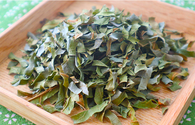 葉 茶 作り方 びわ の ビワの葉茶の作り方と時期を知っていますか?枇杷の葉の効能とうそや湿布を伝授!!