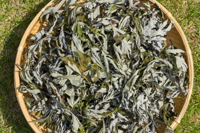 雑草 お茶