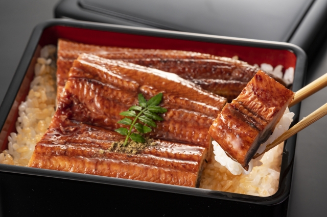 土用の丑の日 うなぎ 栄養