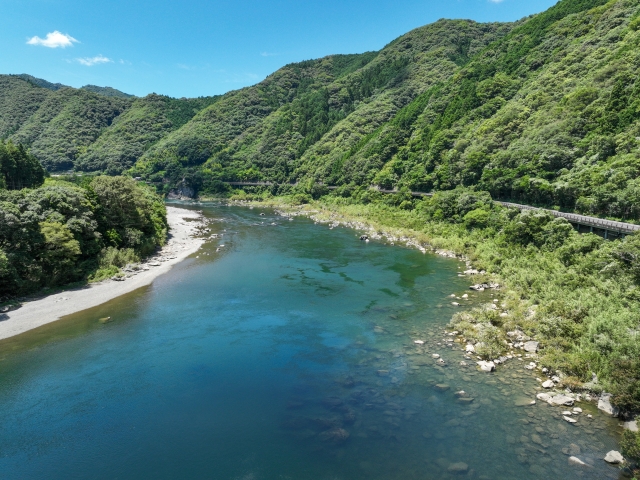 高知 土佐茶