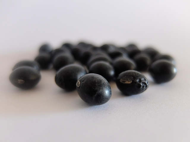黒豆茶 黒豆麦茶 違い