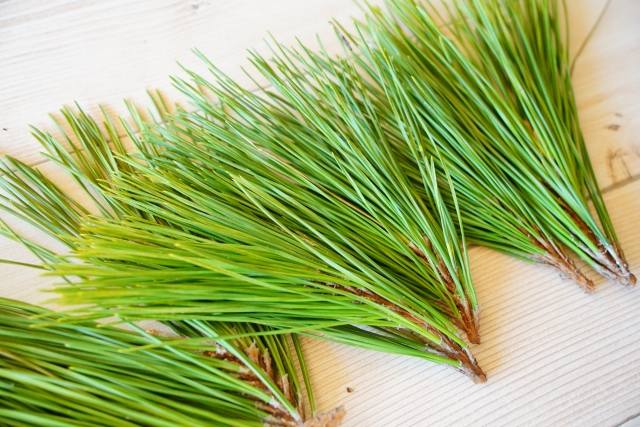 松の葉茶 作り方