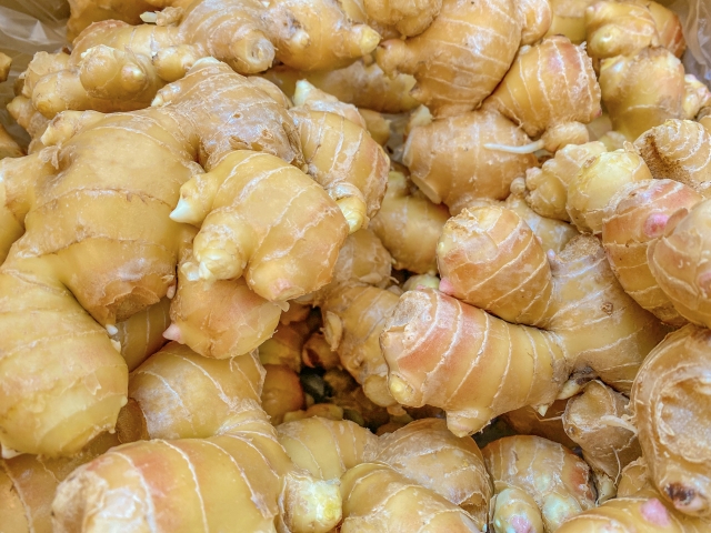 ブラックジンジャー 成分