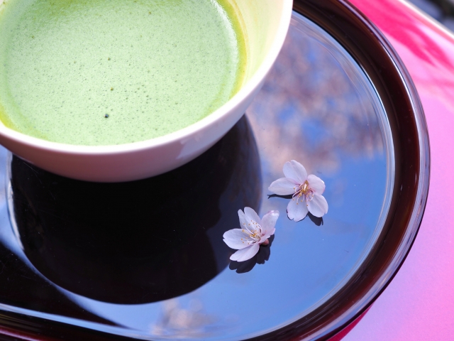 抹茶 季節 旬