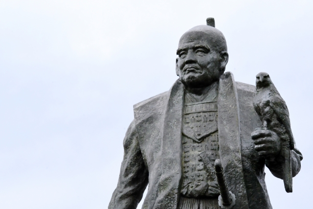 熟成茶 徳川家康