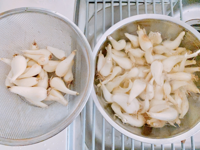 らっきょう りんご酢 作り方