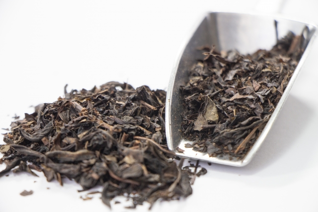 烏龍茶 産地 起源