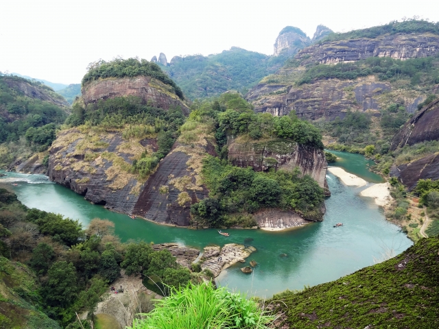 烏龍茶 産地 武夷山