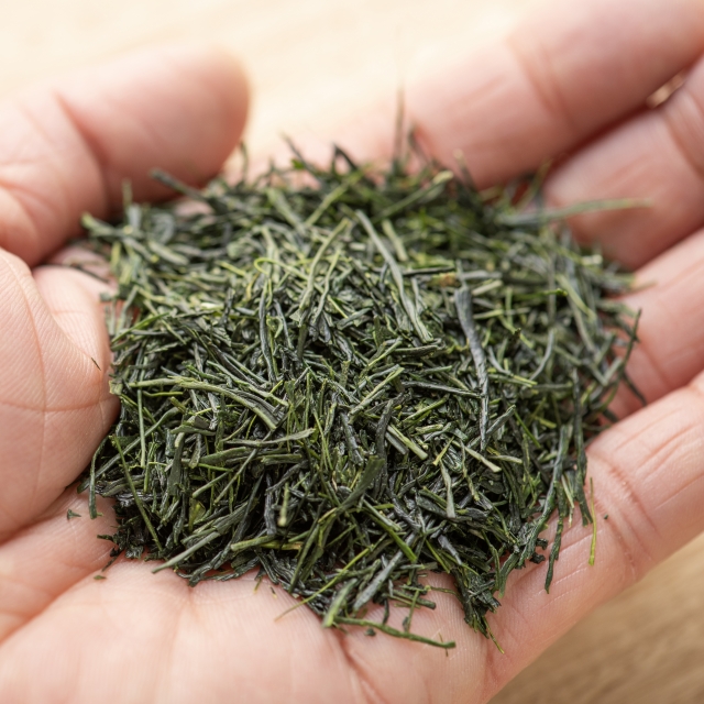 煎茶道 高遊外
