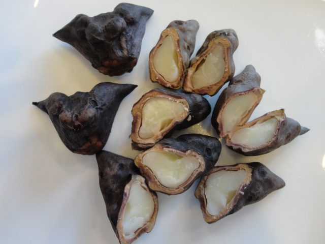 菱の実粉末 副作用