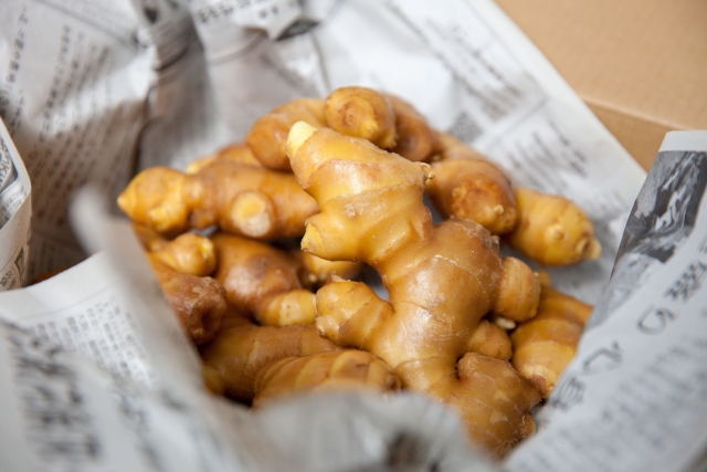 高知 生姜 保存