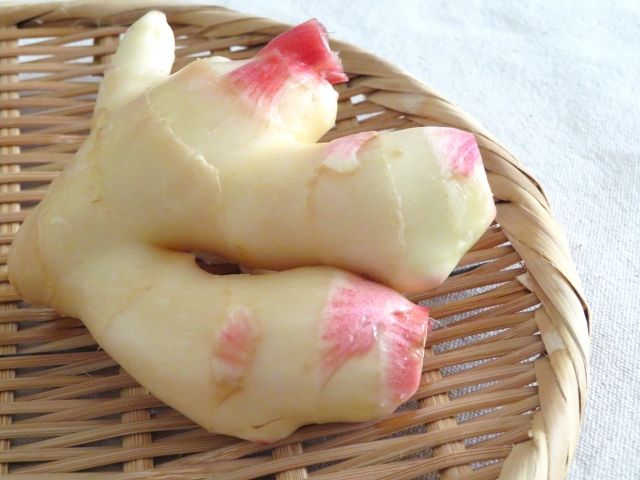 高知 生姜 時期