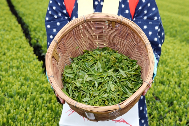 献茶祭 目的