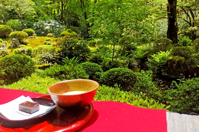 呈茶とは