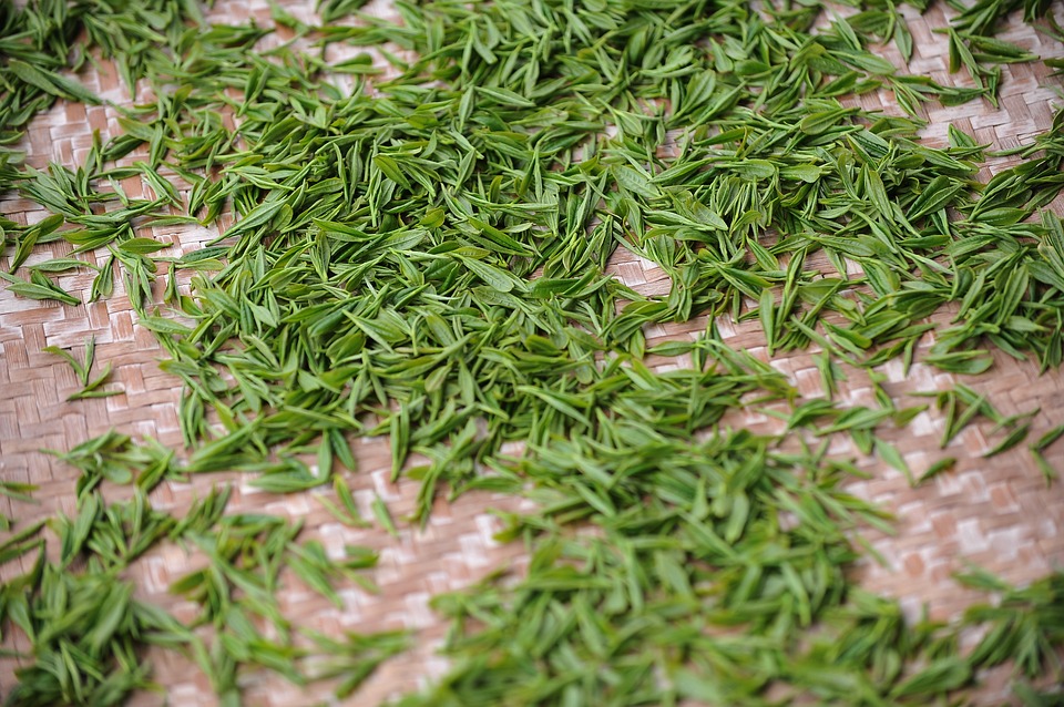 茶殻を再利用すれば節約もできちゃう 驚きの茶殻の活用法を紹介 Chanoyu