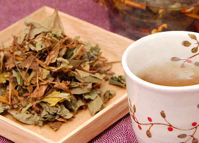 イメージカタログ 最高 50 めかぶ 茶 作り方 イメージカタログ 最高 50 めかぶ 茶 作り方