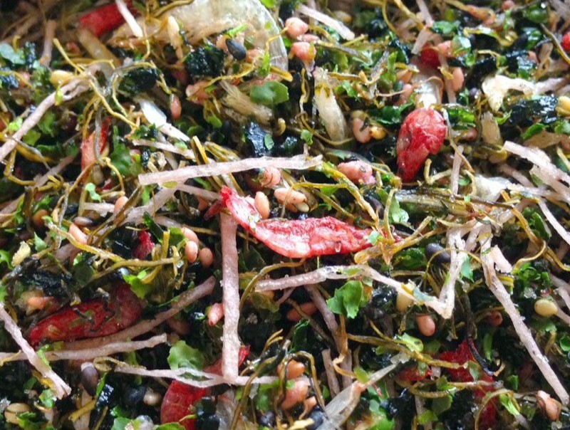 七彩昆布