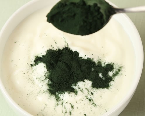 スピルリナ粉末 スピルリナパウダー